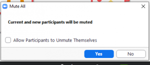 screenshot of zoom mute all function