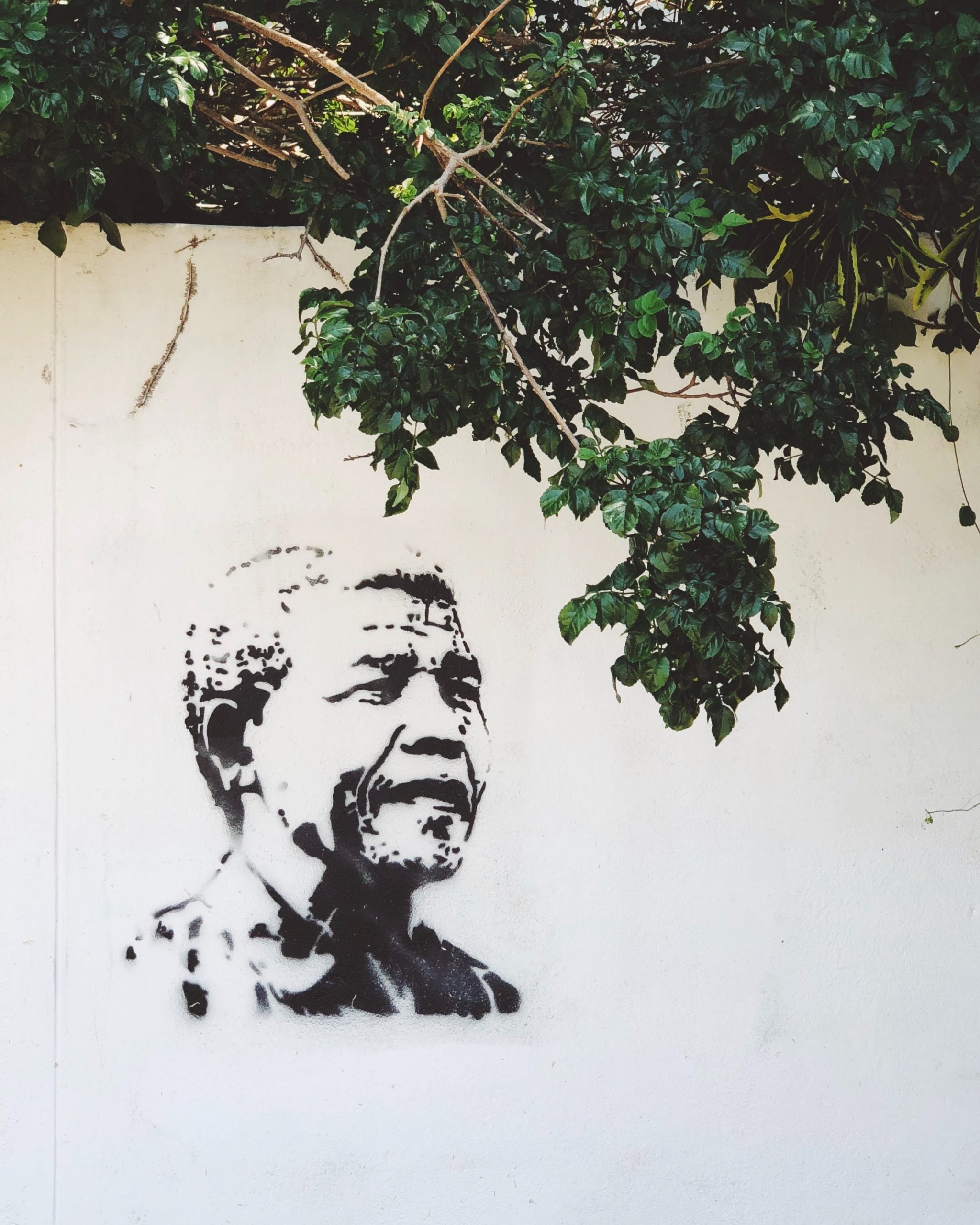 wall mural of nelson mandela near tree