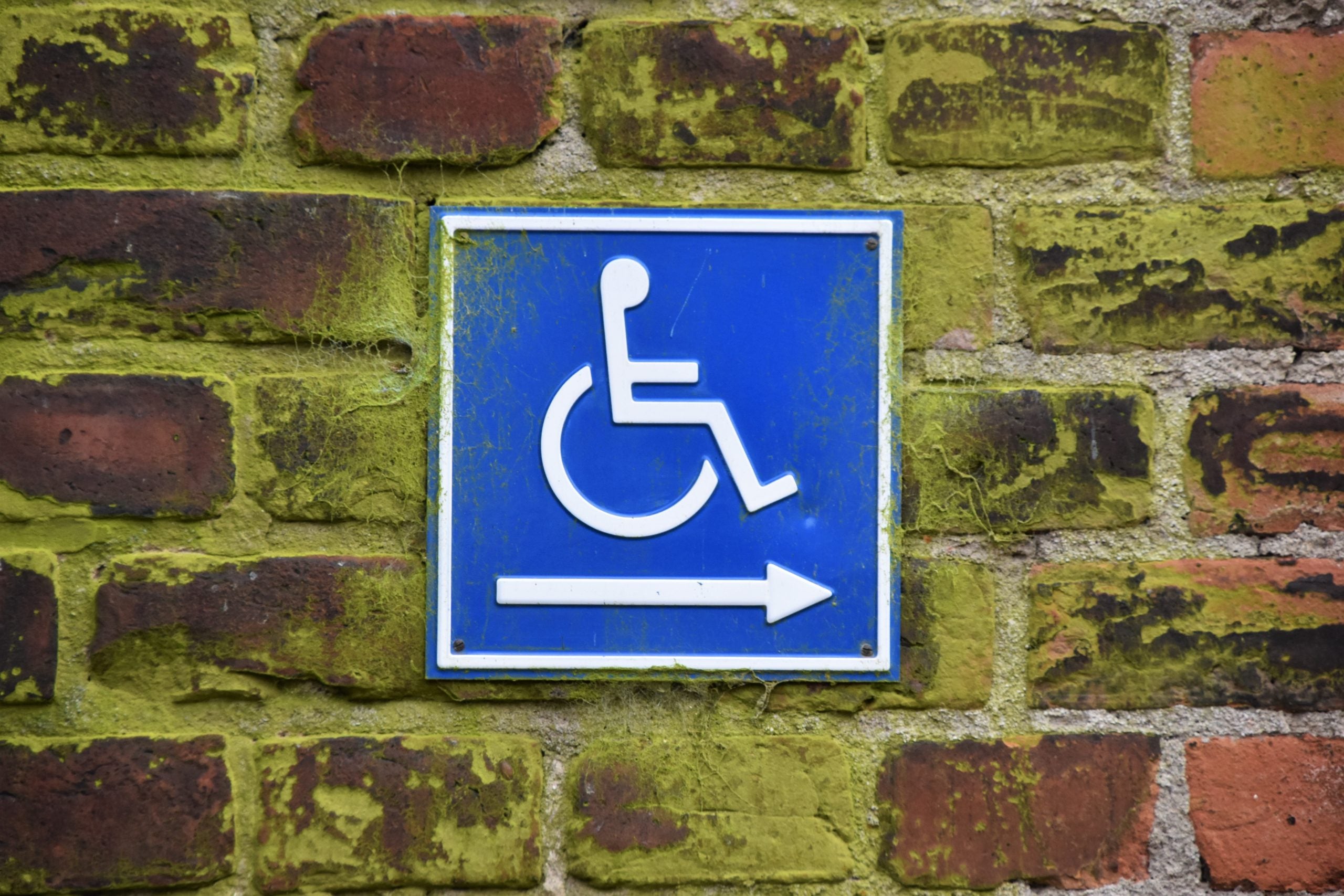 mossy brick wall with disability access sign