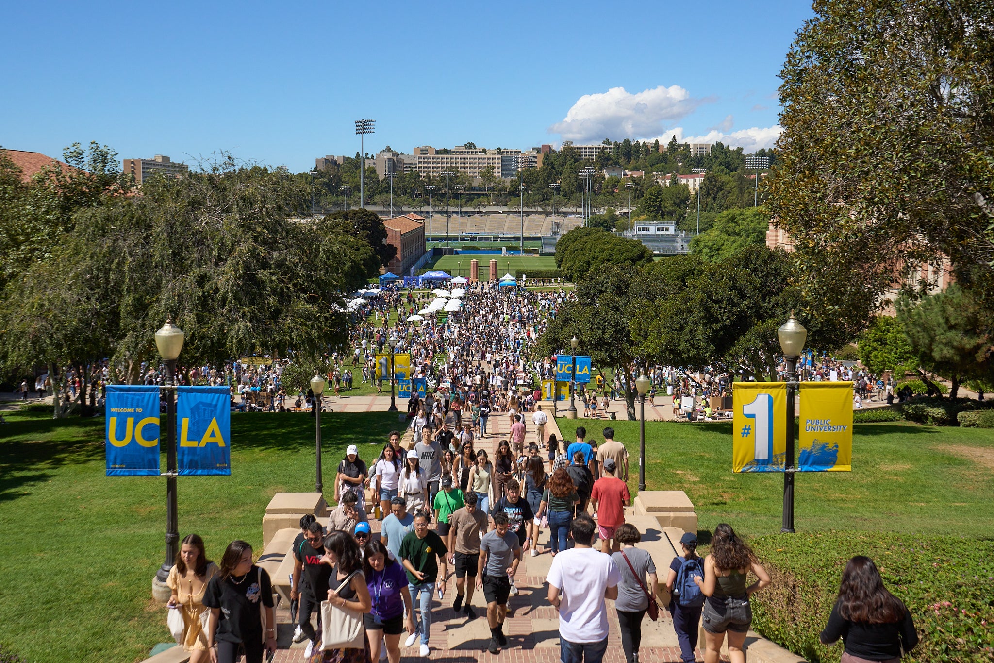 bruins at the 2022 ucla enormous activities fair