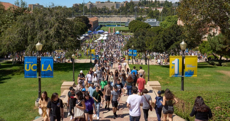 bruins at the 2022 ucla enormous activities fair