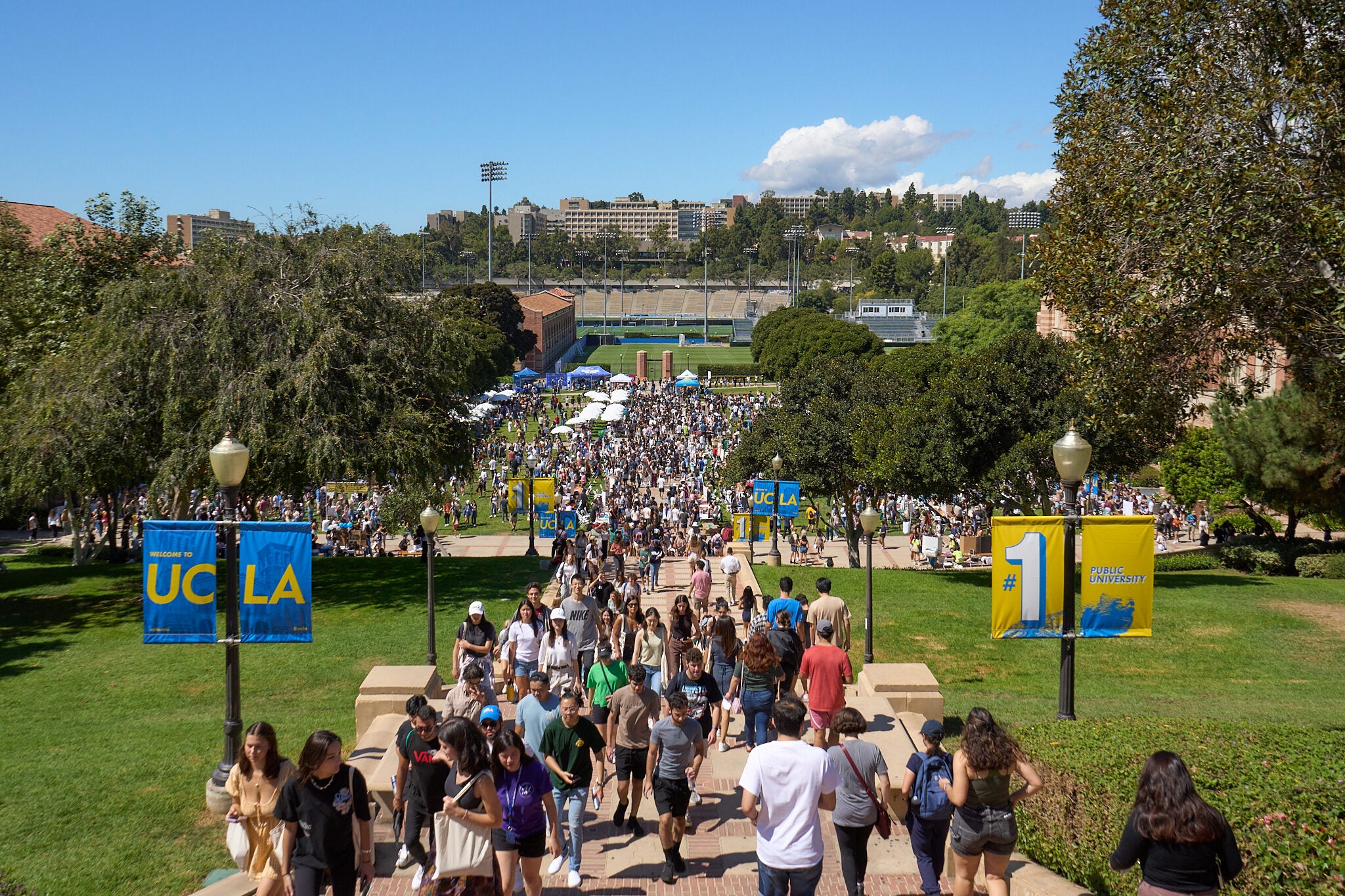 UCLA Equity Diversity And Inclusion EDI Student Leadership Award UCLA Equity Diversity And Inclusion EDI Student Leadership Award
