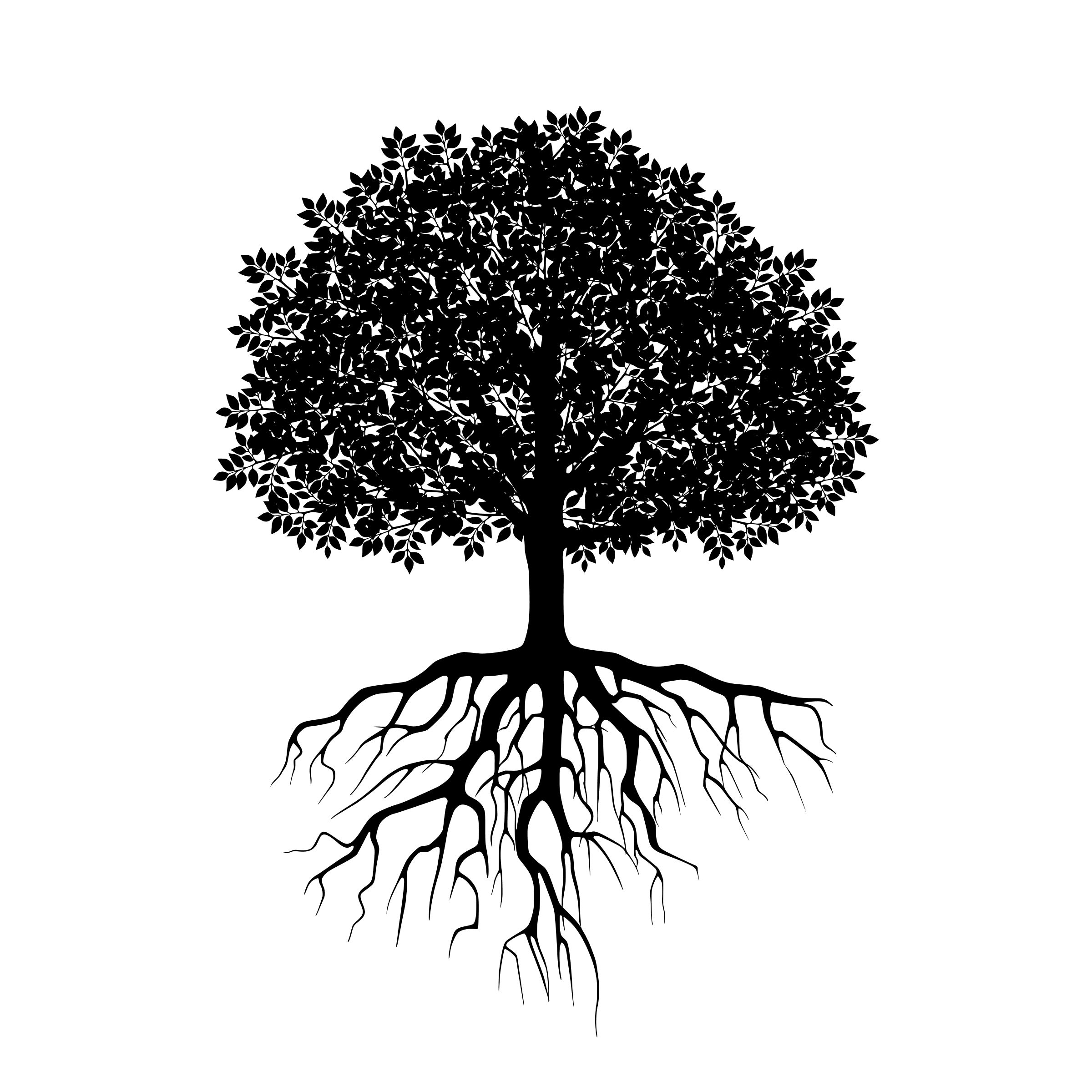 black-and-white illustration of oak tree