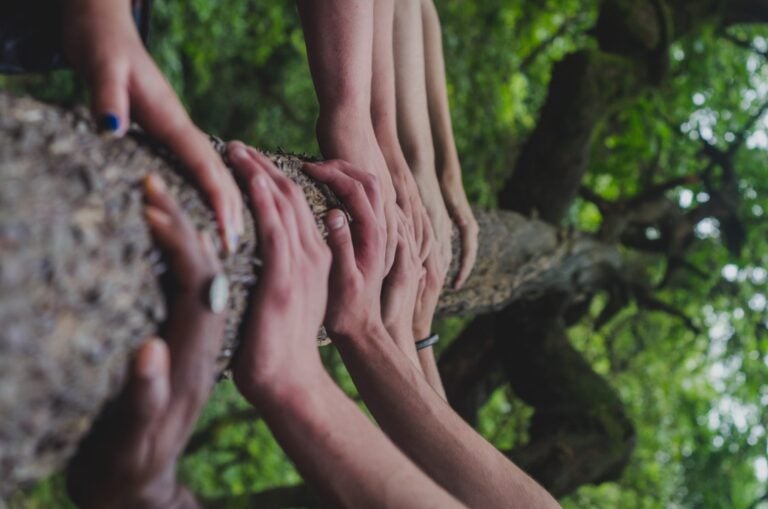 diverse hands coming together on a tree branch