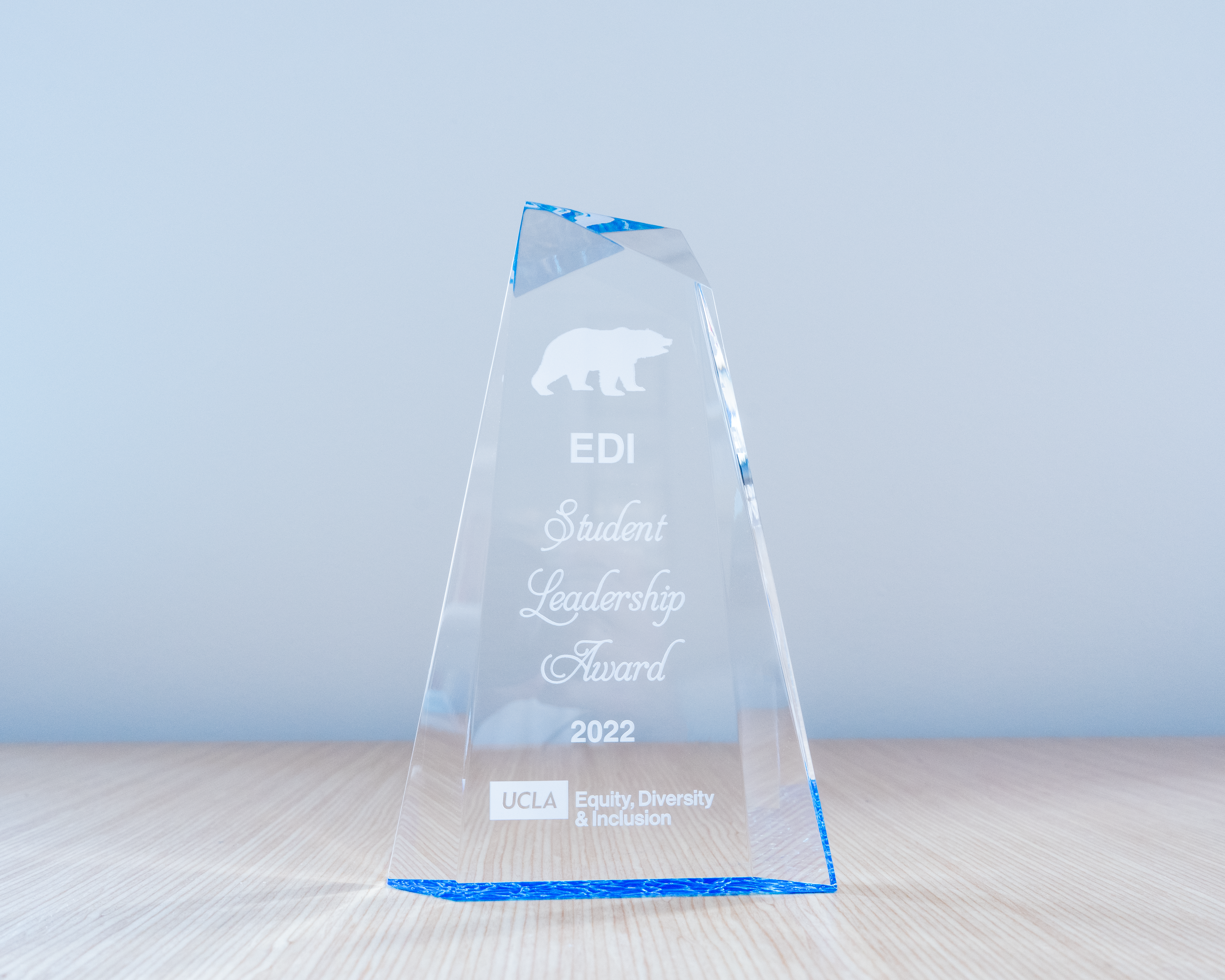 edi student leadership award trophy
